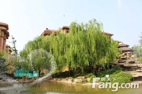 冀中名门千人分销誓师大会圆满落幕 冀中名门千人分销誓师大会圆满落幕