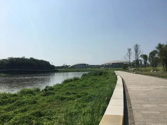 锦江生态带 锦江生态带