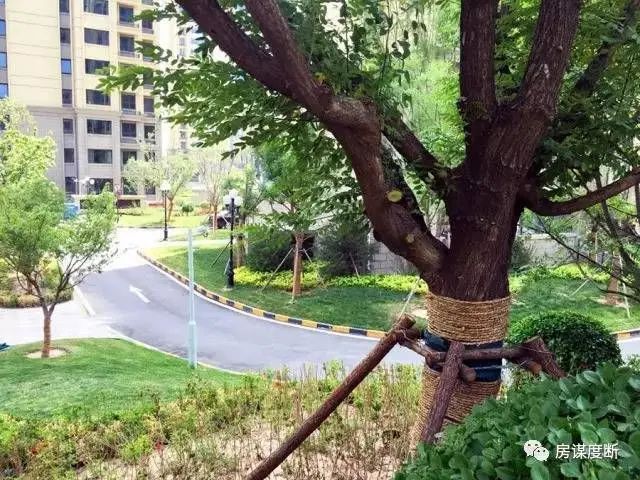 房价