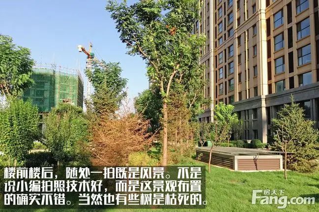 房价