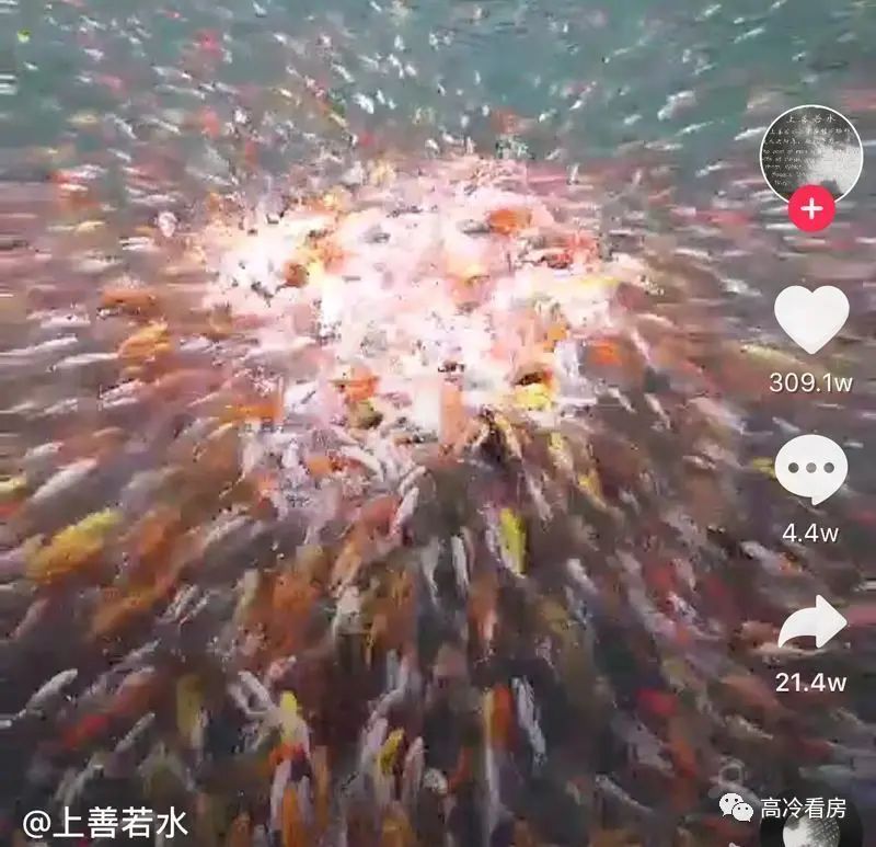 房价