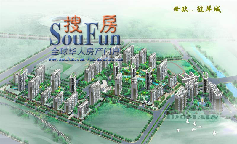 鸟瞰图