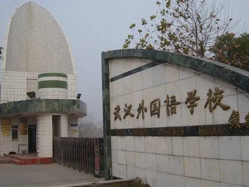 武汉湖墅观止怎么样买房看位置低房价也可入手好房