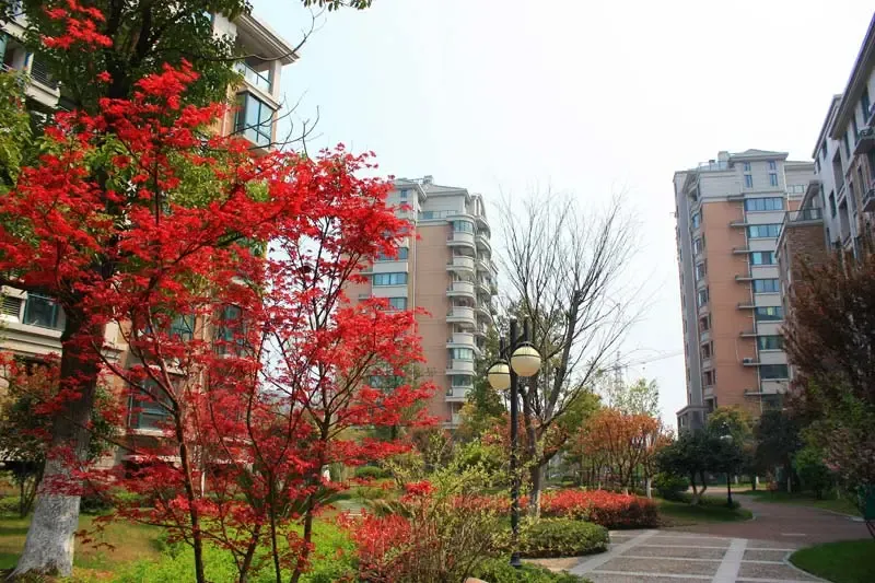 城西高性价低总价楼盘 岸上蓝山均价11000元/方-杭州新房网-房天下