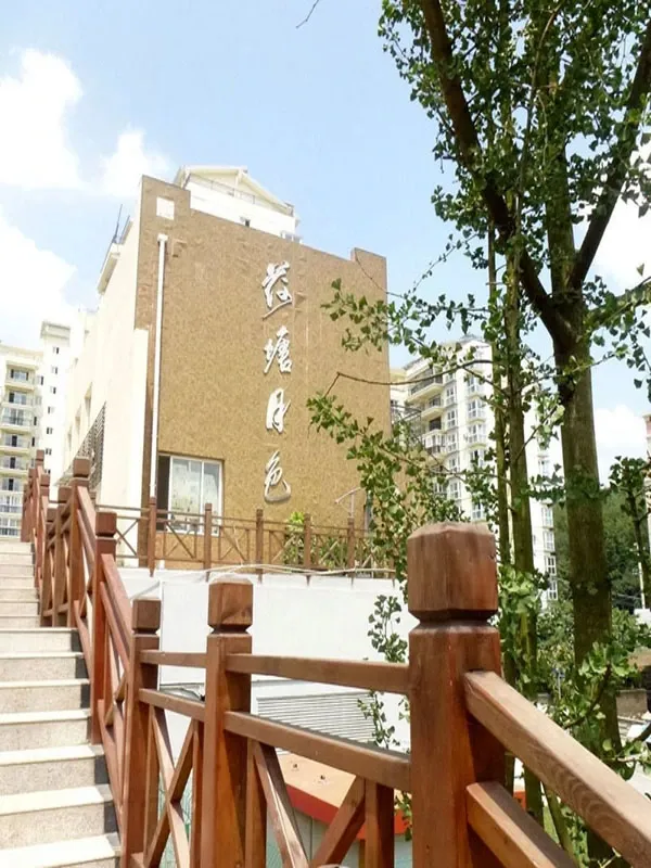 荷塘月色全新呈现,清新小景名副其实!