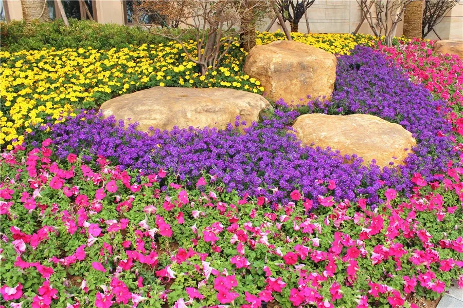 额,有点眼花缭乱啊,感觉自己走进了花圃.