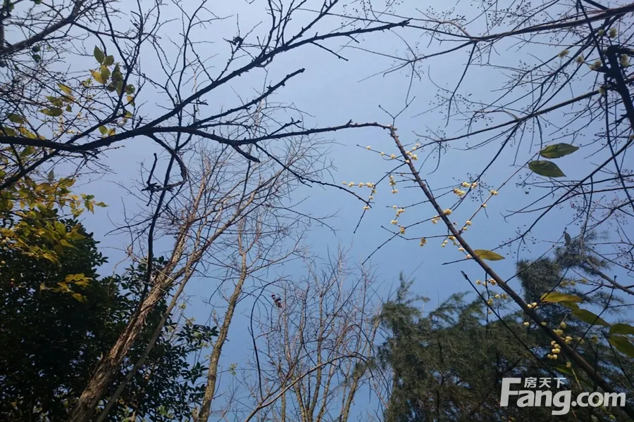 渝北照母山立交部分匝道已开通刷新交通便捷