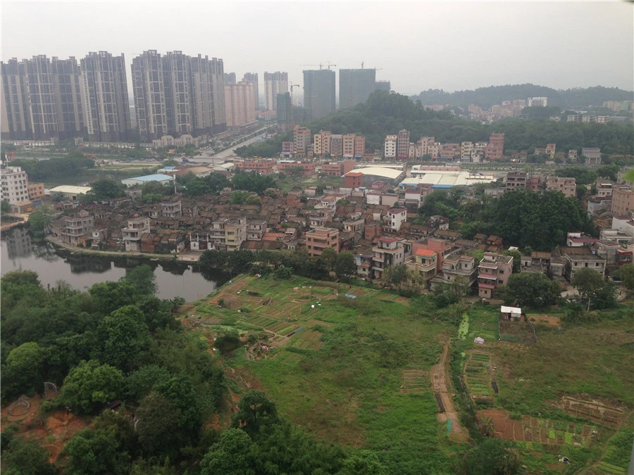 碧桂园·联丰天汇湾周边配套 