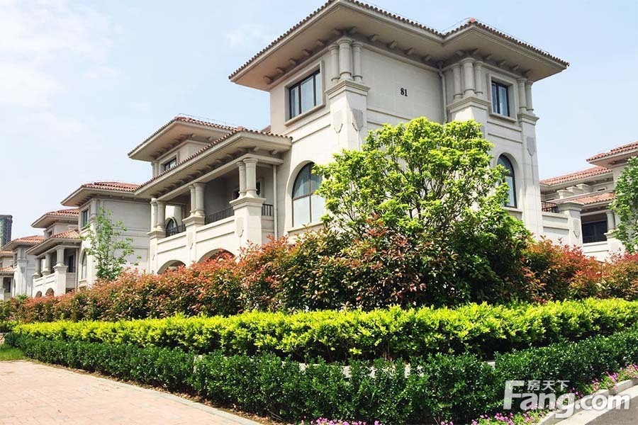 【持续更新】九龙湖别墅全新楼盘动态