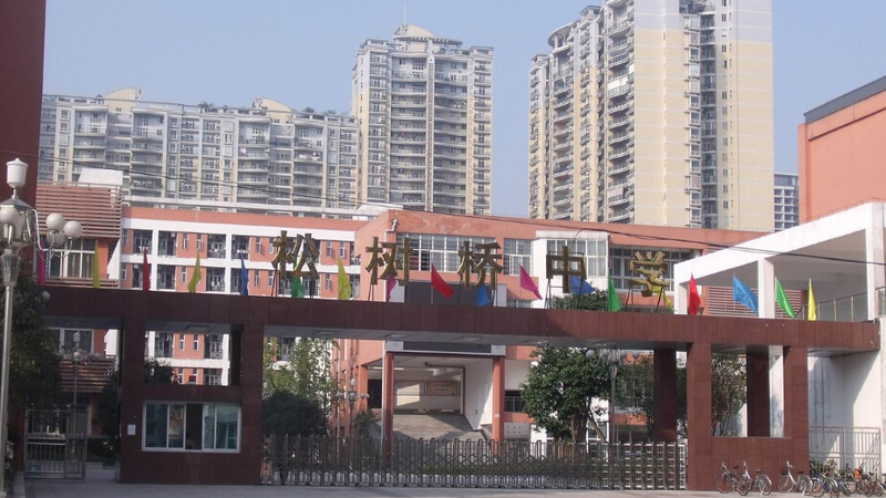 重庆松树桥中学渝北-冉家坝完中(初中 高中)/公立语文类艺术类电话