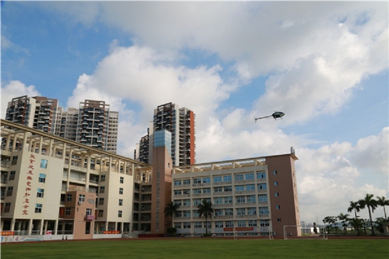 深圳市龙岗区坂田新城学校龙岗-坂田九年一贯制(小学 初中)/公立电话