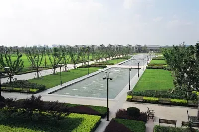 中科大学村热销揭秘花儿为什么这样红