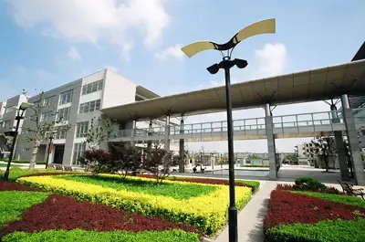 中科大学村热销揭秘花儿为什么这样红