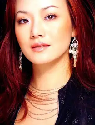 "风之彩"富有浓厚欧美风格的歌曲而在美国迅速走红的华裔女歌手兼主持