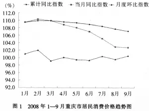 2009重庆经济蓝皮书发布 GDP增幅明年有望达13%