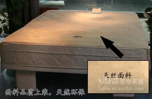 测评:大自然意境系列山棕床垫 时尚的环保新品