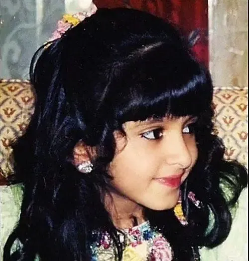 8月27日报道提到阿联酋的迪拜酋长国,可能大部分人的第一反应就是那