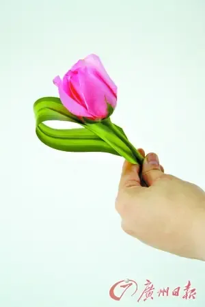 玫瑰玫瑰我爱你 专业花艺师教您制作插花diy(图)