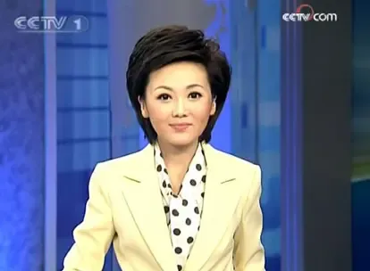 央视名嘴为考生支招 四大主播都是高考状元