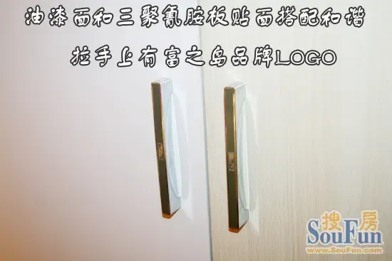 衣柜选用了onus欧诺斯铰链,质量过硬经久耐用,至少可承受八万次的开合