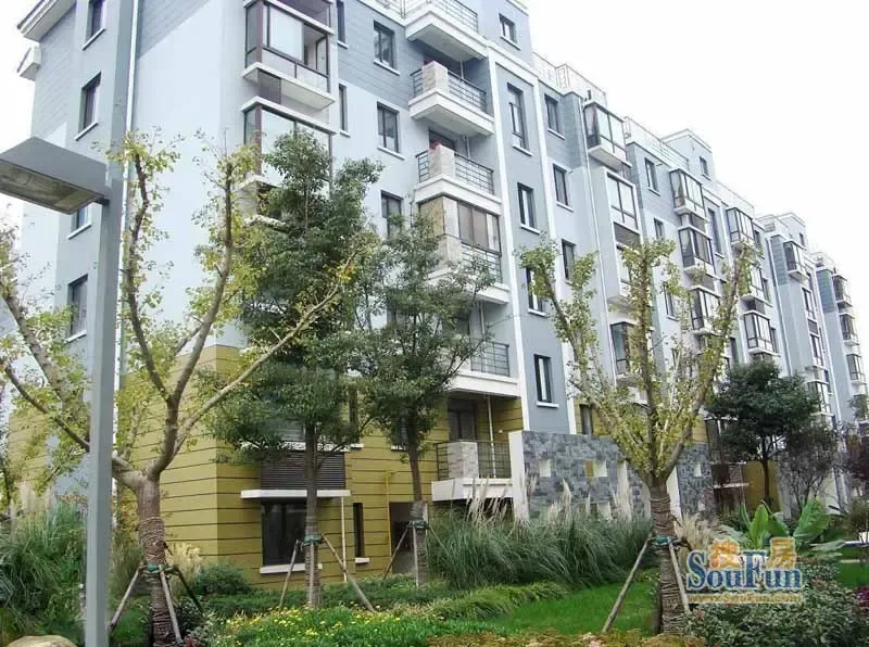 森林半岛实景图