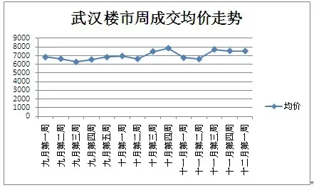 2010年度武汉房价调查研究报告