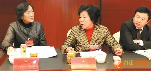 张远秀参加市"两会"分组讨论