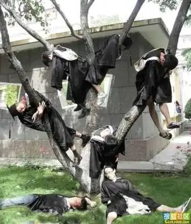 华师惊艳毕业照丝袜六道杠爆红搞笑创意毕业照雷翻天图