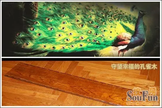 测评久盛美国朴木实木地板守望幸福的孔雀木