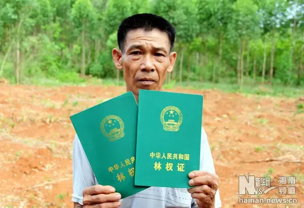 6月20日,海南临高县东英镇灵山村委会龙安村村民向记者展示林业部门