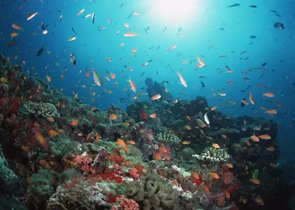 鼓浪屿海底 :2项 之,10项全国之