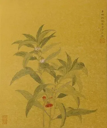 现场展出画家的80幅花鸟画近作,将以简淡明快的形,神,笔,墨,带观众