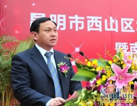 西山区区委书记柳文炜致辞