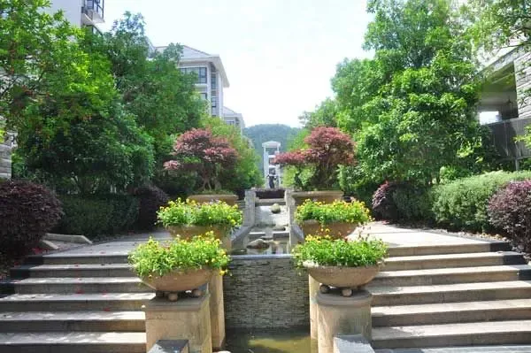 晚秋览徽府黄山之韵购房结东方丽景之缘