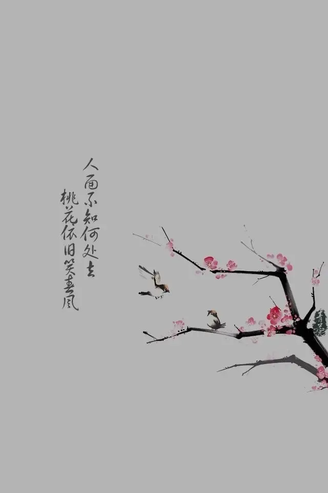 人面不知何处去,桃花依旧笑春风 桃花源果然有情趣啊