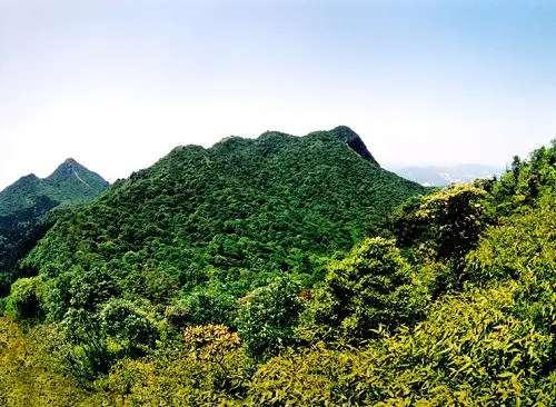 景区:王子山森林公园 楼盘:花都颐和山庄 王子山森林公园是省级森林