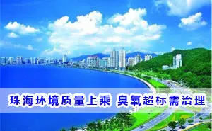 麣ϳ