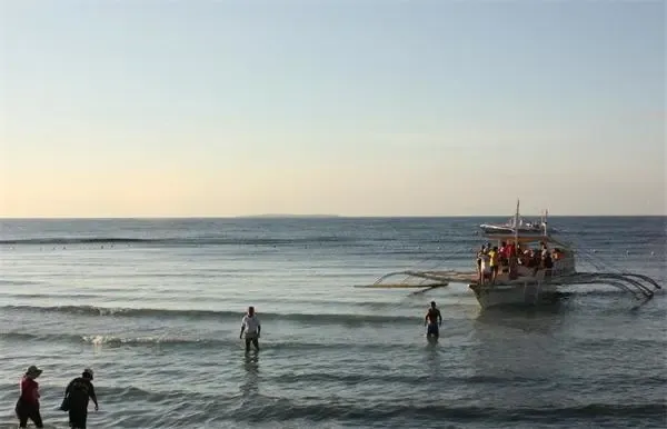 厦门千人挖花蛤退潮盛景尽收眼底