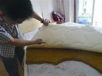 "慕思"床垫里爬出虫子 掰下棕垫抖一抖便掉出