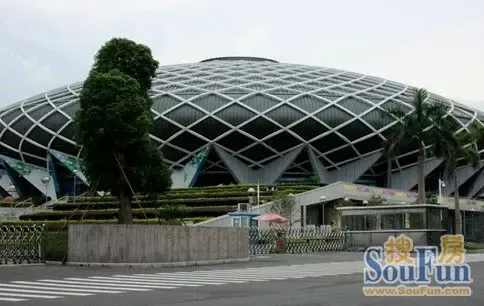 "金地朗悦杯"坪山新区篮球邀请赛 盛大开幕