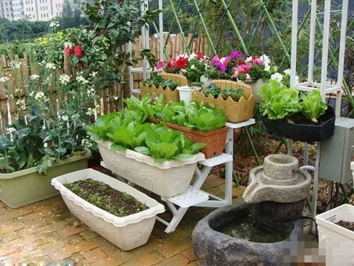 16个阳台蔬菜种植案 让阳台成为家的健康小农场图