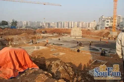 "新型城镇化与示范镇(平南大安)商圈建设"大讲堂