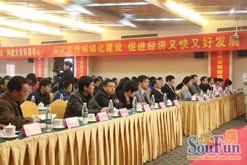 "新型城镇化与示范镇(平南大安)商圈建设"大讲堂