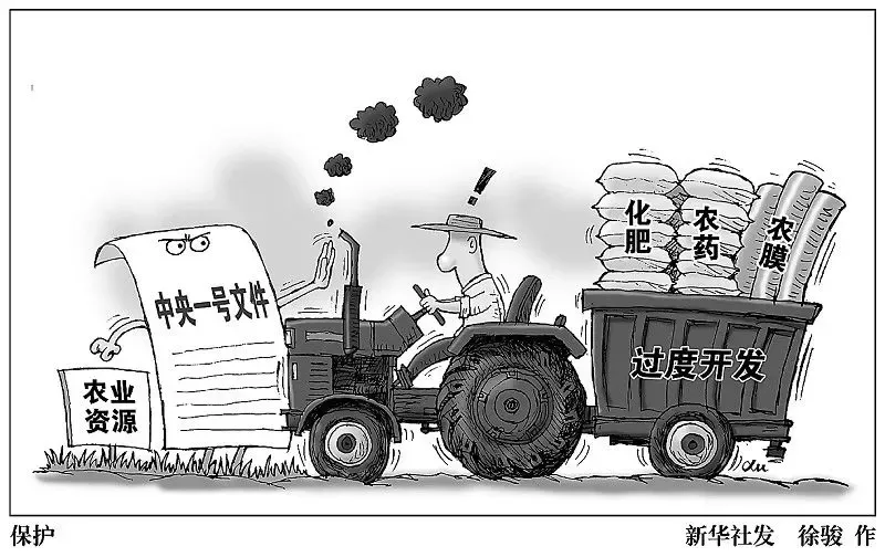 陈锡文坚持四个不能遏制资本炒作农地现象