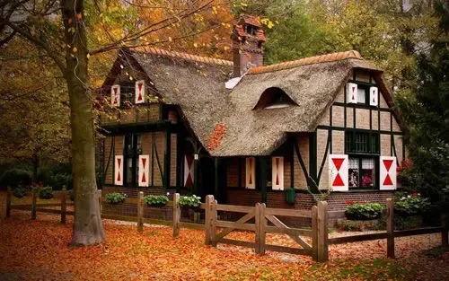 林中小屋喧嚣外的梦幻殿堂