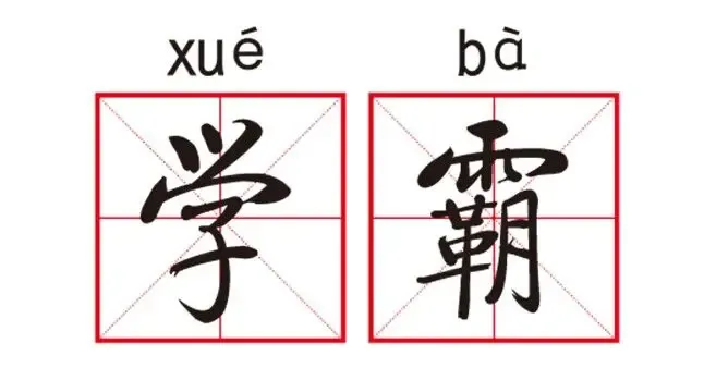 翰林锦城家入翰林学霸人生