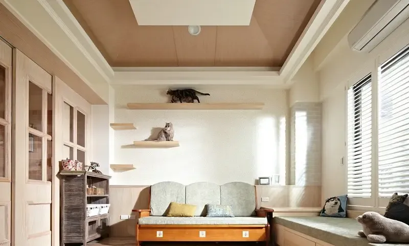 翻滚吧 猫咪!这就是它们最爱的乡村风乐园