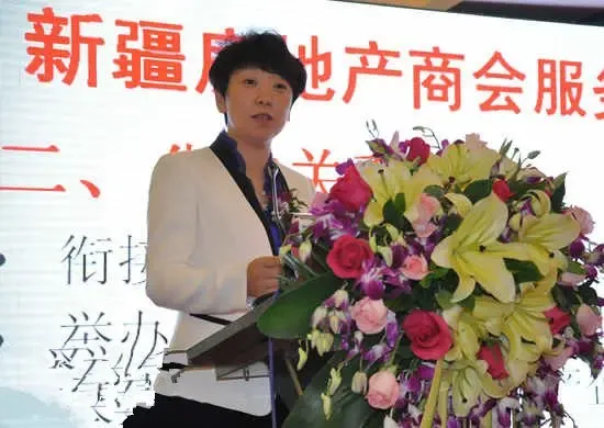 新疆房地产商会成立邀请各路英雄天山论剑