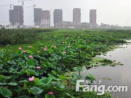 大阳垾湿地公园