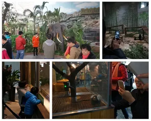 证大·大拇指广场感恩回馈第3站 光合谷温泉采摘